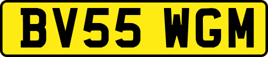 BV55WGM
