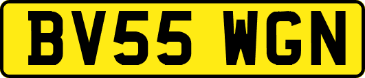 BV55WGN