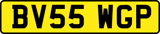 BV55WGP