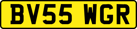 BV55WGR