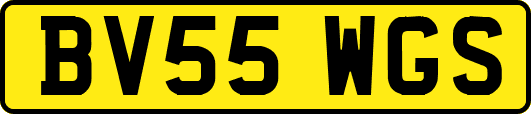 BV55WGS
