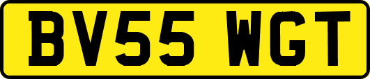 BV55WGT