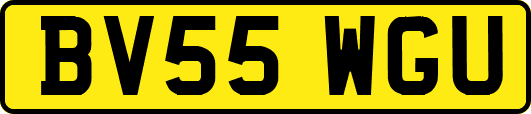 BV55WGU