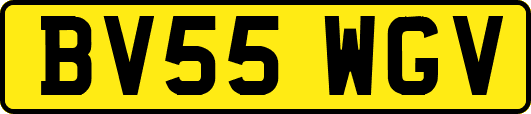 BV55WGV
