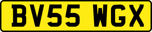 BV55WGX