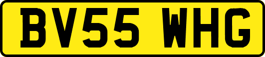 BV55WHG