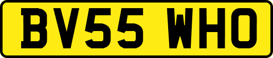 BV55WHO