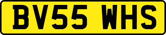 BV55WHS