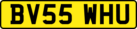 BV55WHU