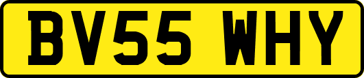 BV55WHY