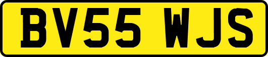 BV55WJS