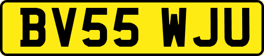 BV55WJU