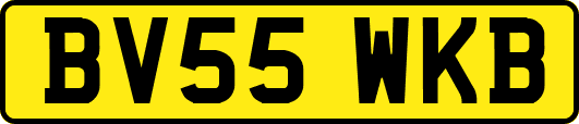 BV55WKB