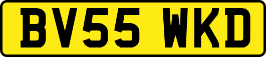 BV55WKD