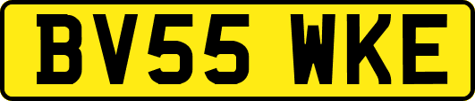 BV55WKE