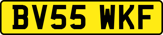 BV55WKF