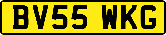 BV55WKG