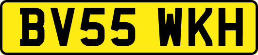 BV55WKH