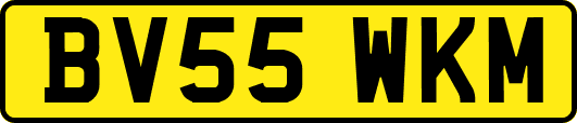 BV55WKM