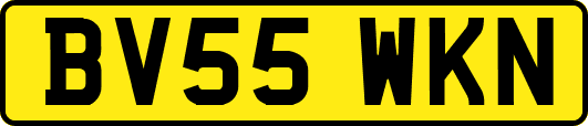 BV55WKN