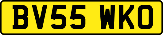 BV55WKO