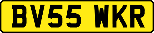 BV55WKR