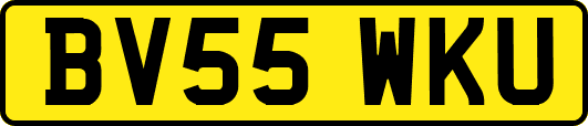 BV55WKU