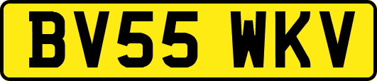 BV55WKV