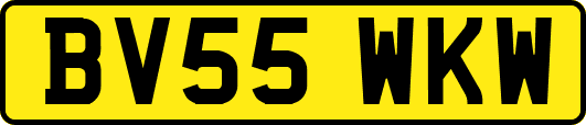 BV55WKW