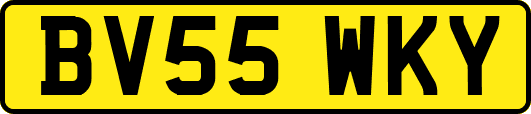 BV55WKY