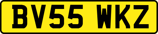 BV55WKZ