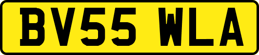 BV55WLA