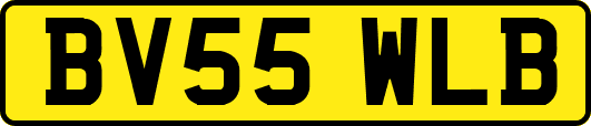 BV55WLB