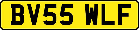 BV55WLF