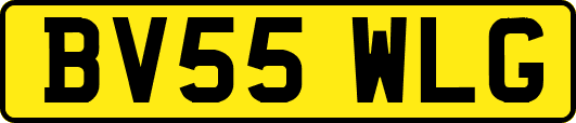 BV55WLG