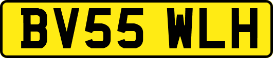 BV55WLH