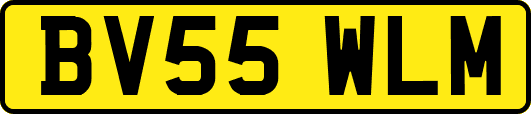 BV55WLM