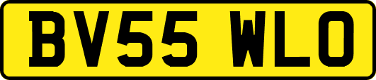 BV55WLO