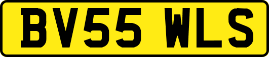 BV55WLS