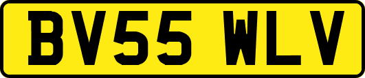 BV55WLV