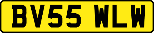 BV55WLW