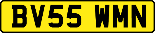BV55WMN