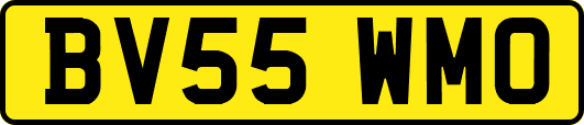 BV55WMO