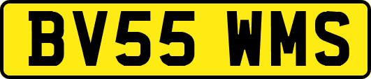BV55WMS