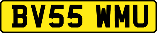 BV55WMU