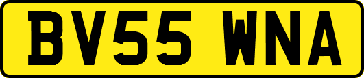 BV55WNA