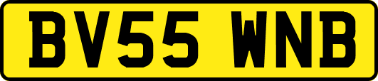BV55WNB
