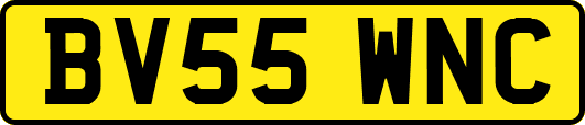 BV55WNC