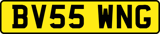BV55WNG