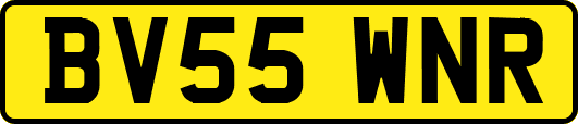 BV55WNR